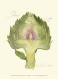 Buy Globe Artichoke at AllPosters.com