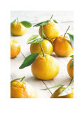 Buy Golden Satsumas at AllPosters.com