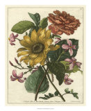 Buy Floral Posy I at AllPosters.com