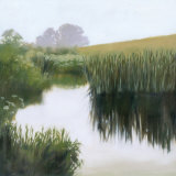 Morning Creekside