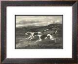 Buy Foxhounds at AllPosters.com