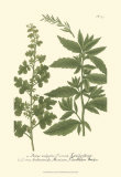 Buy Leaves III at AllPosters.com