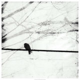 Silver Days II