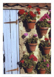 Buy Geranium Wall at AllPosters.com
