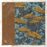 Golden Yarrow I