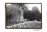 Garden Grace II