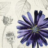 Buy A Touch of Color III at AllPosters.com