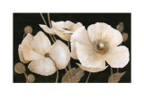 Buy Sepia Poppies at AllPosters.com