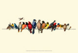 Buy Bird Menagerie III at AllPosters.com