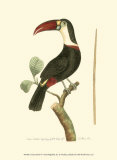 Buy Crimson Birds VI at AllPosters.com