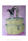 Italian Greyhound Basket