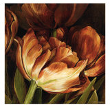 Buy Color Harmony II at AllPosters.com