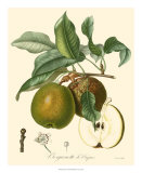 Pears