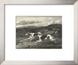 Buy Foxhounds at AllPosters.com
