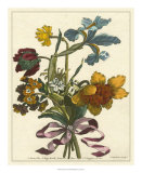 Buy Floral Posy IV at AllPosters.com