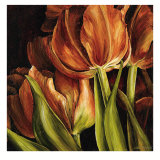 Buy Color Harmony I at AllPosters.com