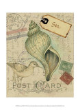 Postcard Shells II