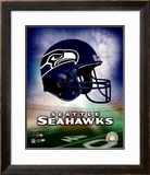 Seattle Seahawks Helmet Logo &copy;Photofile