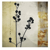 Buy Sombras de Oro II at AllPosters.com