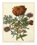 Buy Floral Posy III at AllPosters.com