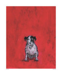 Small Dog