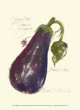 Eggplant Solanum Melongena