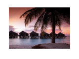 Buy Water Villas at Sunset, Kuredu, Maldives at AllPosters.com