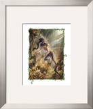 Vidia and the Fairy Crown
