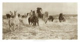 Buy Horses Bathing at AllPosters.com