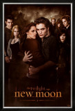Buy Twilight - New Moon at AllPosters.com