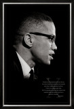 Malcolm X Brotherhood