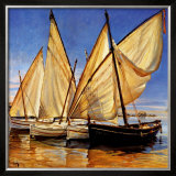 White Sails II