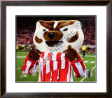 University of Wisconsin Badgers Mascot 2008