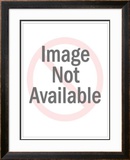 Buy Dedication at AllPosters.com