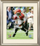 Chad Ochocinco 2009