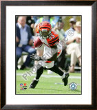 Chad Ochocinco 2009