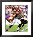 Carson Palmer