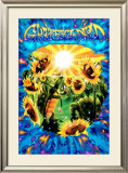 Terrapin Sunflower