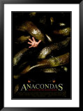 Anacondas