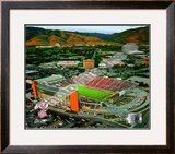 Rice-Eccles Stadium University of Utah Utes 2008