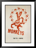 12 Monkeys