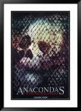 Anacondas