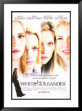 White Oleander
