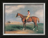 Buy Velocipede at AllPosters.com