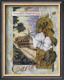 Buy Islands of the Caribbean at AllPosters.com
