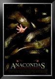 Anacondas