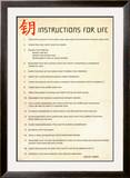 Buy Instructions for Life Dalai La at AllPosters.com