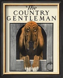Buy Bloodhound, c.1916 at AllPosters.com
