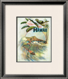 A Trip to Hawaii