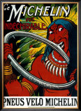 Michelin, Indian Bicycle Tire